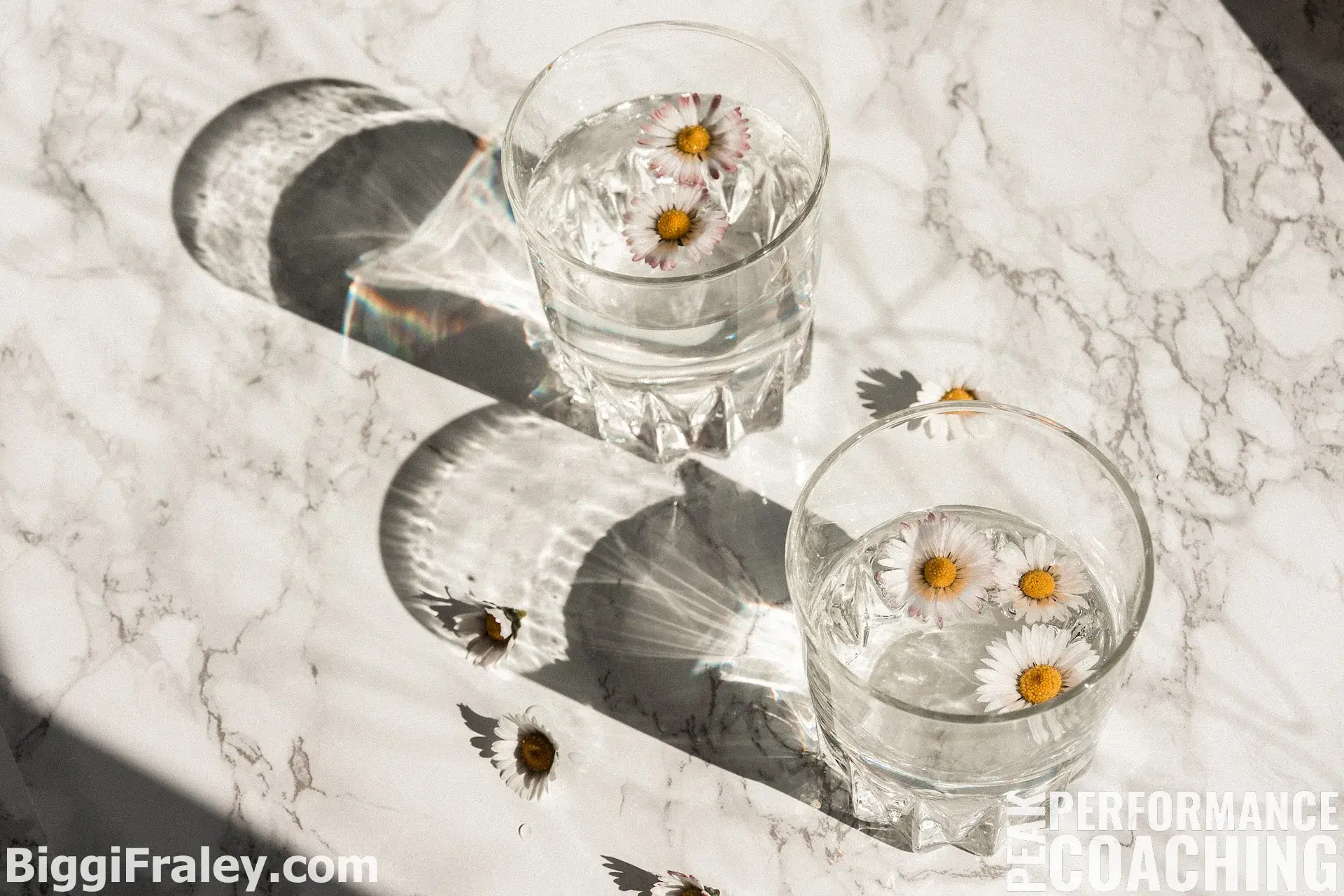 marble table top with two glasses of water and floating daisies