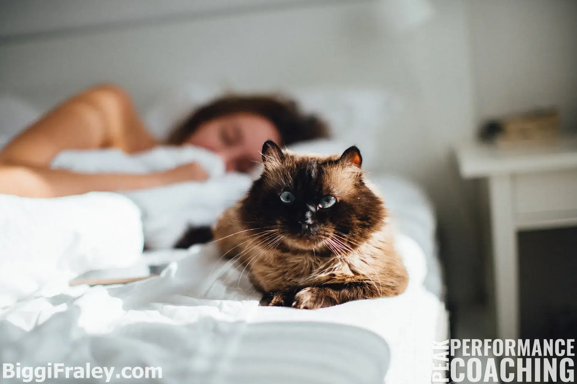 woman sleeping in white sheets with a brown cat at the end of the bed